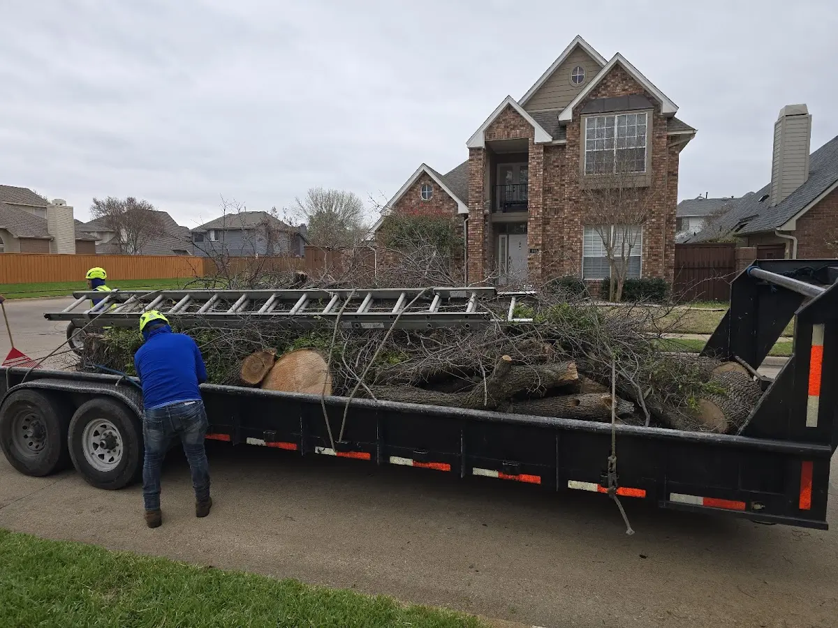 Expert Lot Clearing with proper safety equipment in Harborside